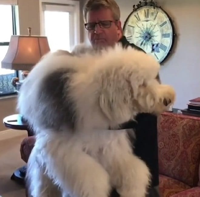 Мужчина и собака