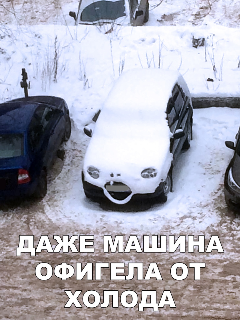 Забавные и смешные фотографии с надписями для веселья 