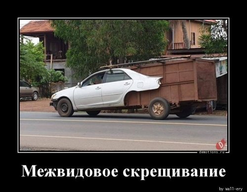 Коллекция прикольных демотиваторов Коллекция прикольных демотиваторов