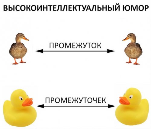 Свежие анекдоты в середине недели все над чем можно смеяться: анекдоты