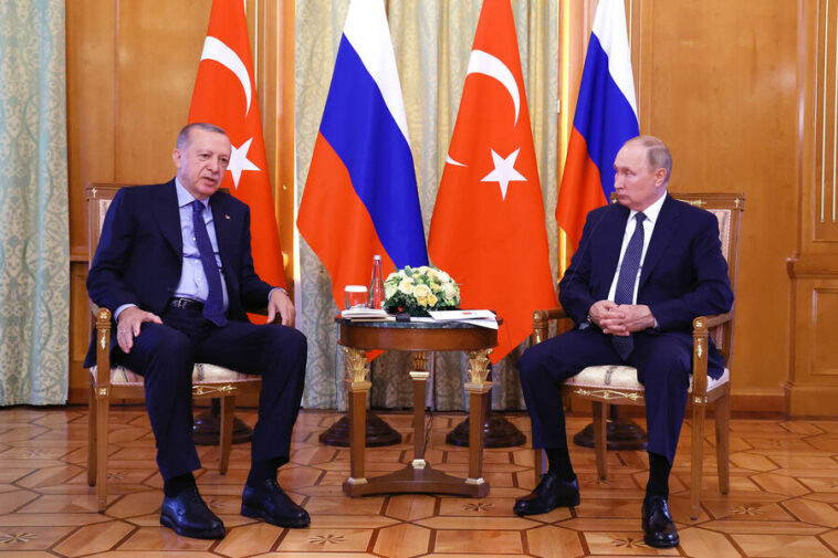 «Надеюсь получить скидку». Эрдоган обсудил с Путиным цены на газ для Турции