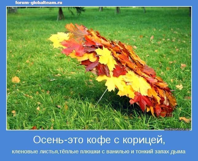 http://mtdata.ru/u23/photo1B5A/20888365104-0/original.jpg