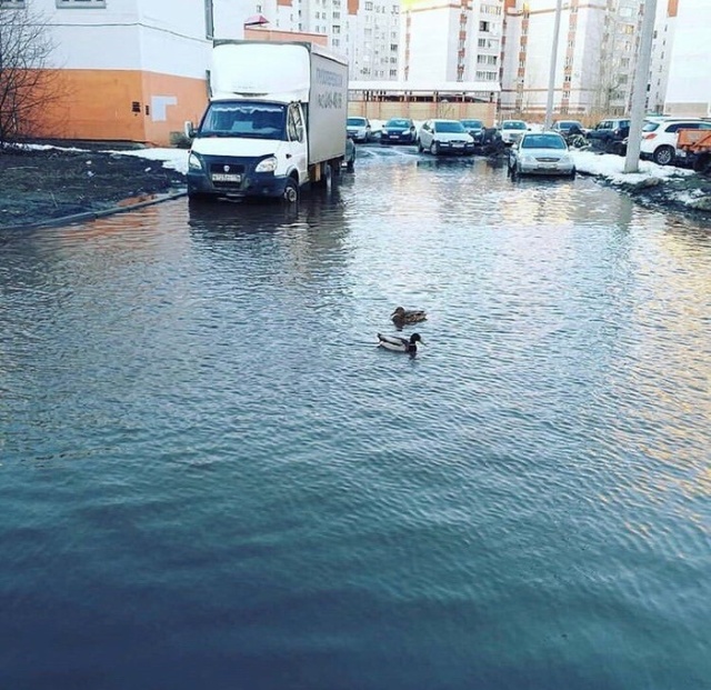 Минутка юмора в выходной день) демотиваторы,приколы,Хохмы-байки,юмор