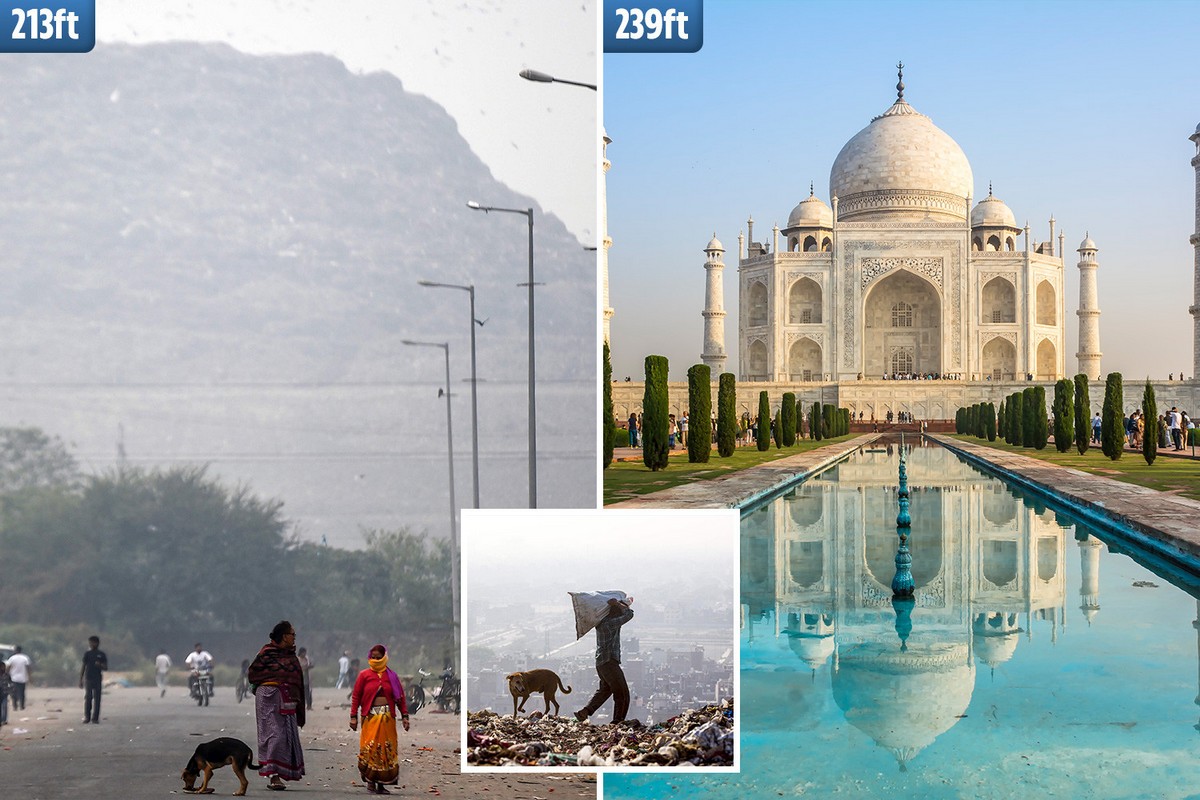 Свалка Газипур в Дели скоро поднимется выше Тадж-Махала страны,туризм,экология