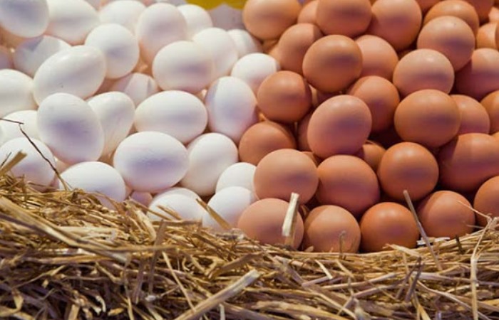 Если ли разница между куриными яйцами белого и коричневого цвета?