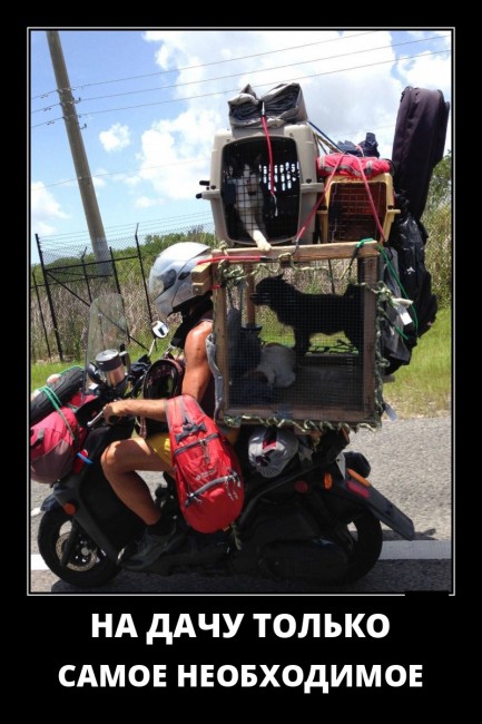 Свежие, прикольные и забавные демотиваторы для хорошего настроения Свежие, прикольные и забавные демотиваторы для хорошего настроения демотиваторы свежие,смешные демотиваторы,юмор