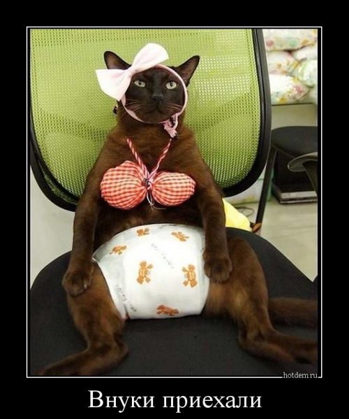 Коллекция прикольных демотиваторов Коллекция прикольных демотиваторов