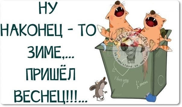 Всяко-разно 150. Мужики! К 8 марта разберите наконец елку! На ее месте еще полгода будет стоять мимоза!