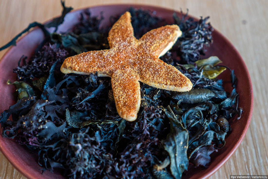 Лучший ресторан мира: рыбий пузырь, муравьи и кожа в шоколаде Лучший ресторан мира: рыбий пузырь, муравьи и кожа в шоколаде мир,страны,туризм