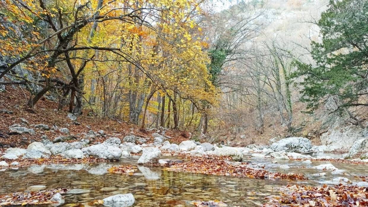 Гид Николай Пономаренко рассказал, какие места нужно посетить в Крыму осенью Общество