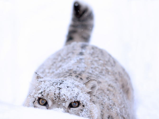 Россия в лучших фотографиях клуба National Geographic