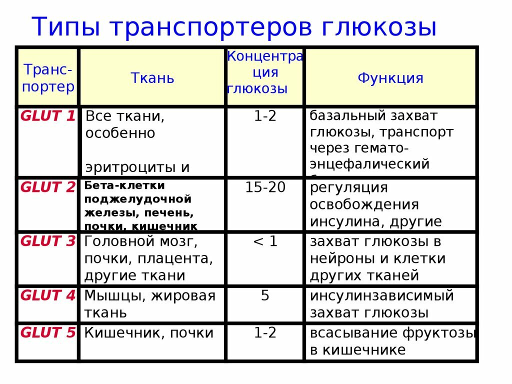 2 типа функций. Глют. Глют это биохимия. Типы глют таблица. Переносчики Глюкозы glut.