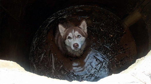 Пока ты нужен