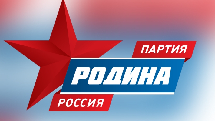 Вассерман назвал городскую избирательную комиссию позором Санкт-Петербурга 