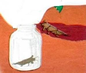 Как Избавиться от Медведки — Эффективные Способы Борьбы