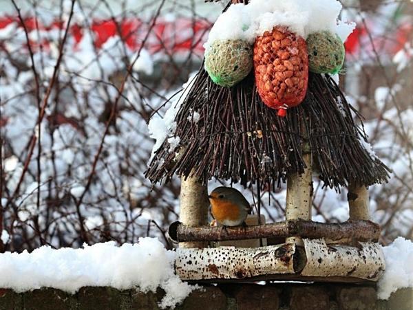 Фото с сайта: fast-images.ru