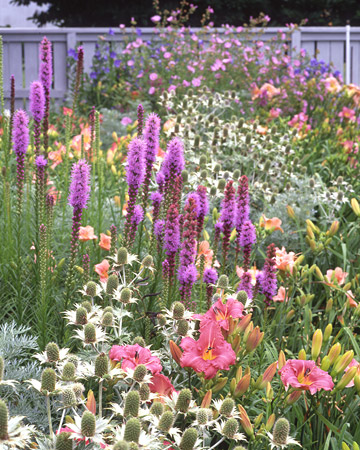 wild-garden-inspiration-flowers8.jpg wild-garden-inspiration-flowers8.jpg