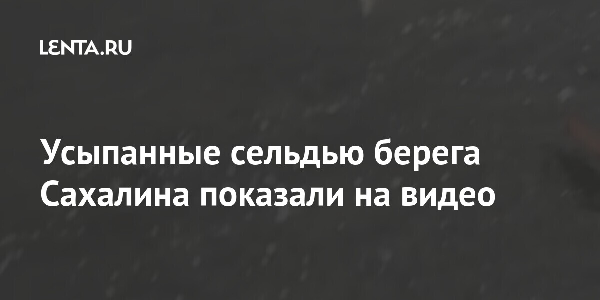 Усыпанные сельдью берега Сахалина показали на видео Усыпанные сельдью берега Сахалина показали на видео обнаружили, залива, Холмском, районе, Сахалина, тихоокеанской, видео, Лисицын, словам, явление, Усыпанные, тошноту, роговицы, произошедшего, кожную, реакцию, Росприроднадзор, исключил, могут, ожоги