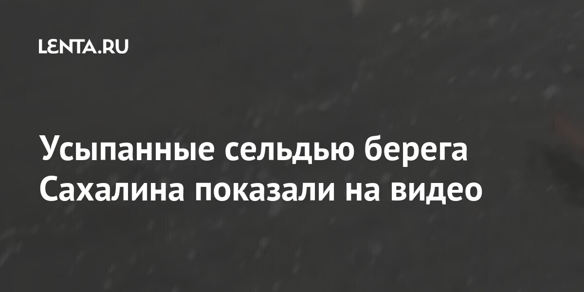 Усыпанные сельдью берега Сахалина показали на видео обнаружили, залива, Холмском, районе, Сахалина, тихоокеанской, видео, Лисицын, словам, явление, Усыпанные, тошноту, роговицы, произошедшего, кожную, реакцию, Росприроднадзор, исключил, могут, ожоги