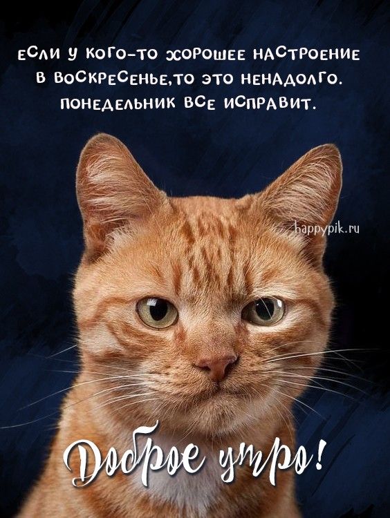 Воскресенские весёлые картинки