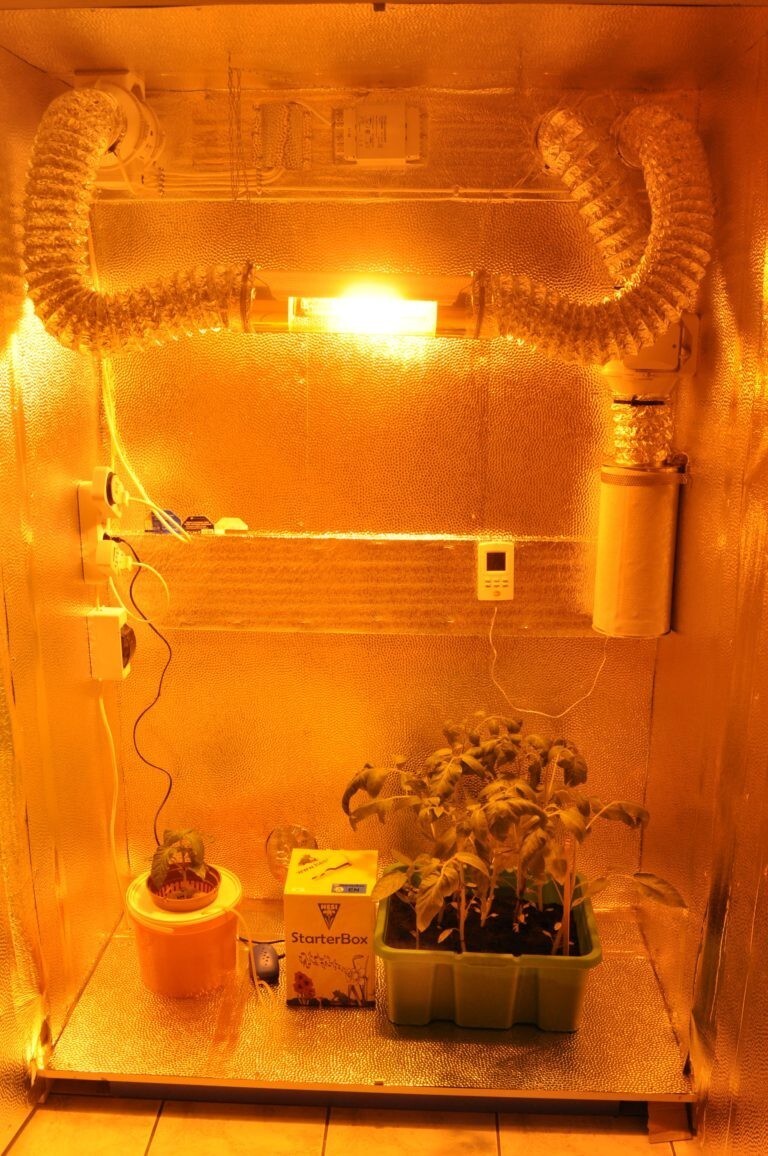 Гроубокс (Growbox) из холодильника