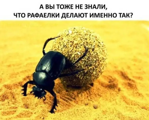 «Я буду есть в манке комочки, и буду крепко спать в обед. Можно остаться в садике у дочки?!»  Менеджер Лёша, 35 лет г,Москва [1405113]