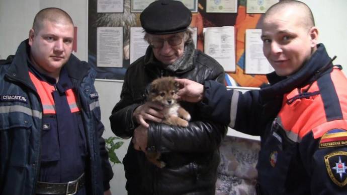 В Новошахтинске спасли щенка, у которого голова застряла в плафоне животные, плафон, спасатели, щенок