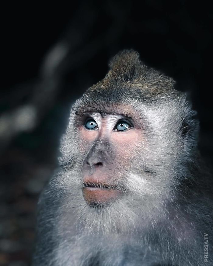 Победители конкурса "The National Geographic Instagram" 