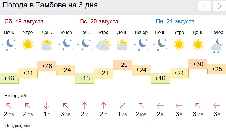 Погода в тамбовском на 3 дня. Температура в Тамбове. Погода в Тамбове. Погода в Тамбове на неделю. Температура в Тамбове на завтра утром.