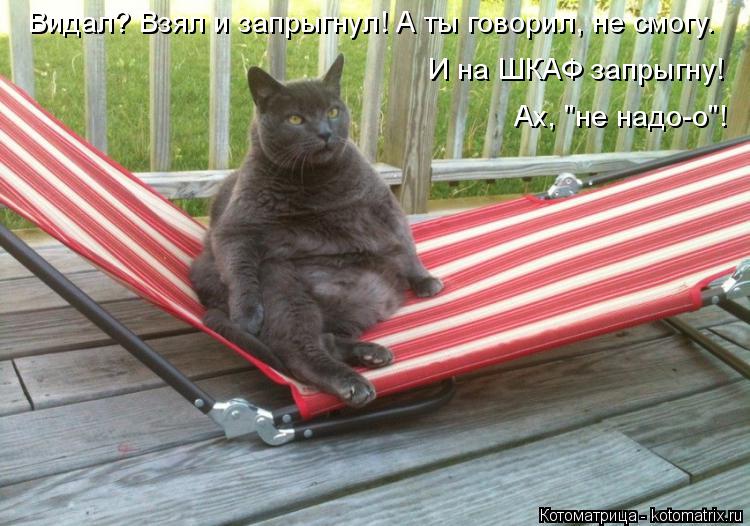 Котоматрица: Видал? Взял и запрыгнул! А ты говорил, не смогу. И на ШКАФ запрыгну! Ах, "не надо-о"!