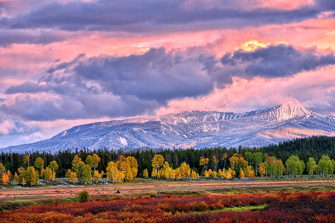 Фотография The Colors Of Fall автор Eamon Gallagher на 500px