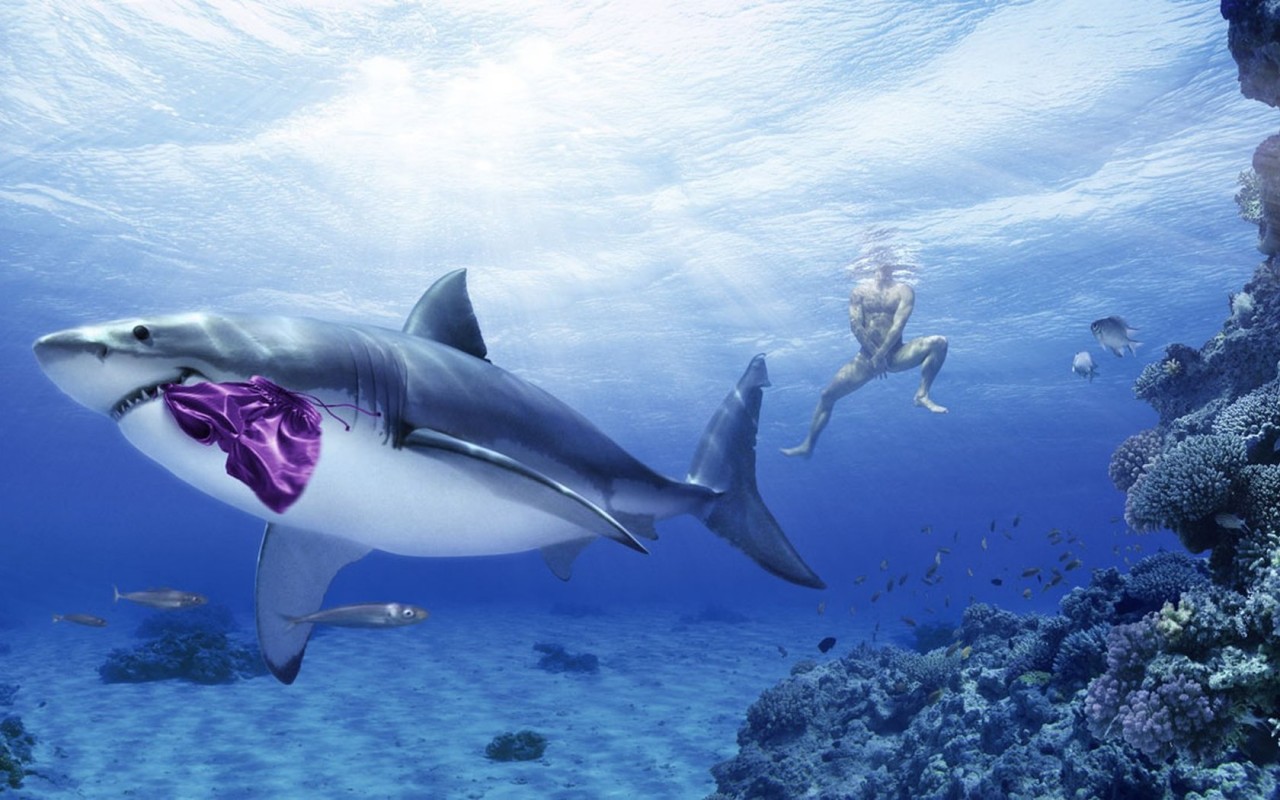 Нападение акулы на человека фото