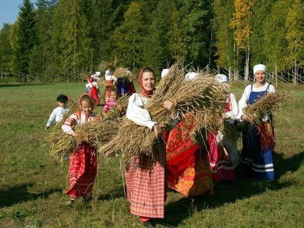 Урожай