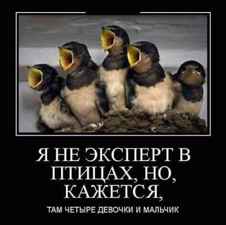 В тоталитарном «совке» все было убого: Выпил, украл, в тюрьму... когда, коров, мужик, бензин, знаете, какие, может, доходы, украл, девушка, спрашивает, Доктор, вставить, Здесь, будешь, совершенно, набрать, завернись, желающих—, ванной