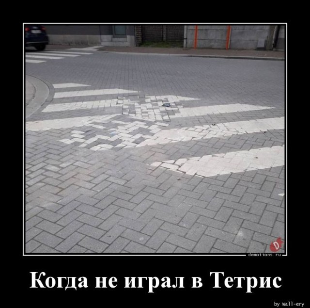 Демотиваторов свежая порция: «В этом доме…» 