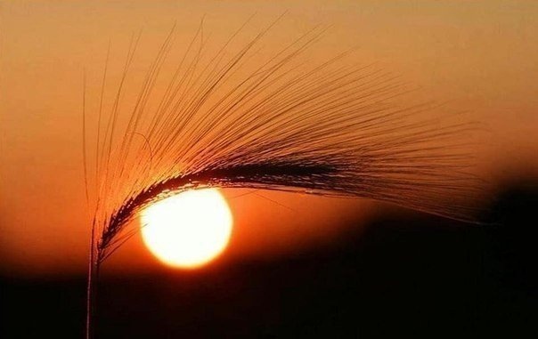 Подборка забавных и прикольных картинок с фотографиями красивые фотографии,прикольные картинки,шикарные фотографии