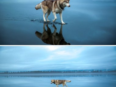 https://hi-tech.imgsmail.ru/pic_original/37f84b03248db9ba8e361e6aac7434f4/1272017/