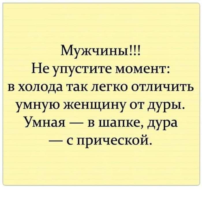 Я всегда встаю на весы с котом. Независимо от результата, кот - "прожорливая скотина", а я "молодец"! анекдоты,веселые картинки,приколы,юмор