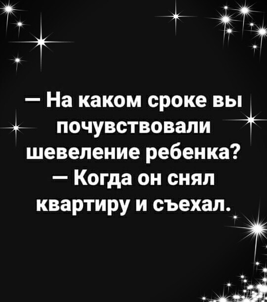 Если существуют домашние хозяйки, значит, где-то должны быть и дикие анекдоты