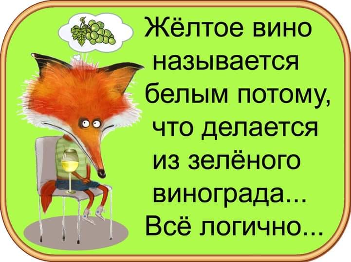 Юмор из интернета 673