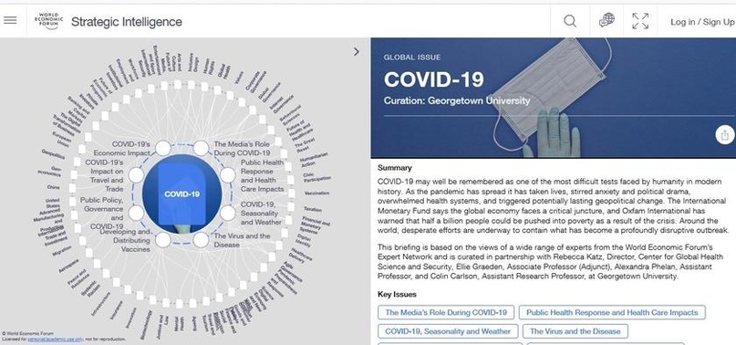 Народ и территорию России сдают швабовцам. Разбор соглашения ВЭФ и Правительства РФ россия