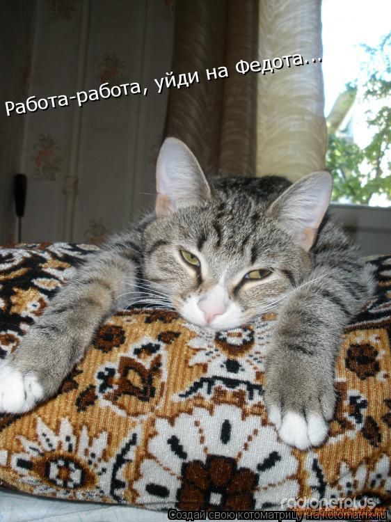 С.сочивко, прикольные подписи к картинкам о работе