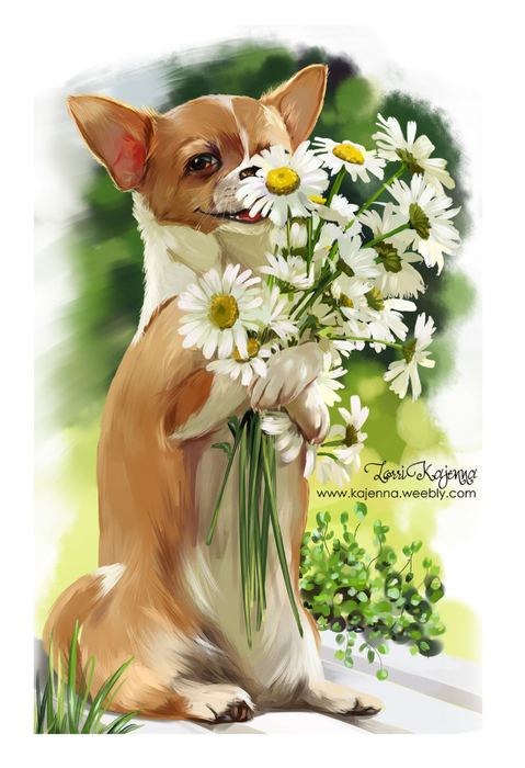 chamomile_by_kajenna-d94lz9c (479x700, 322Kb)