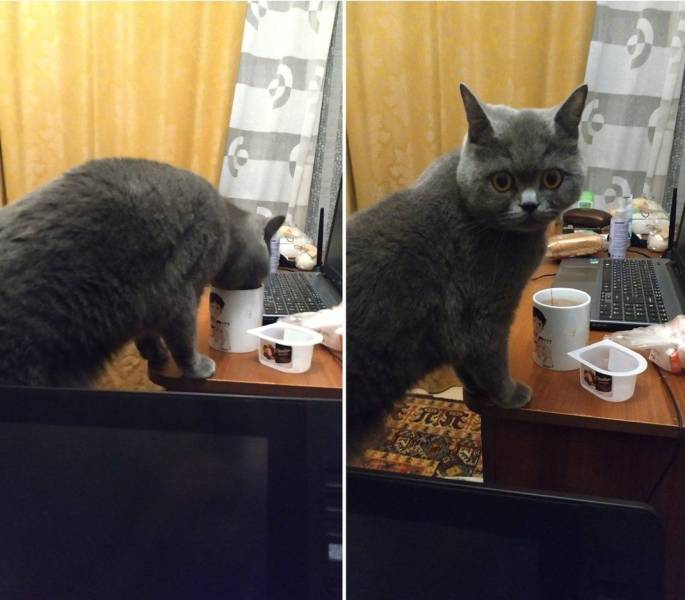 Подборка картинок. Вечерний выпуск  приколы,смешные картинки,юмор