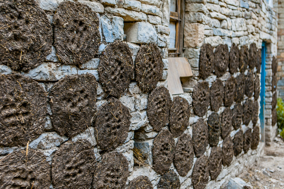 Зачем на Кавказе сушат навоз?