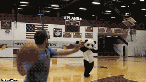 панда и баскетбол