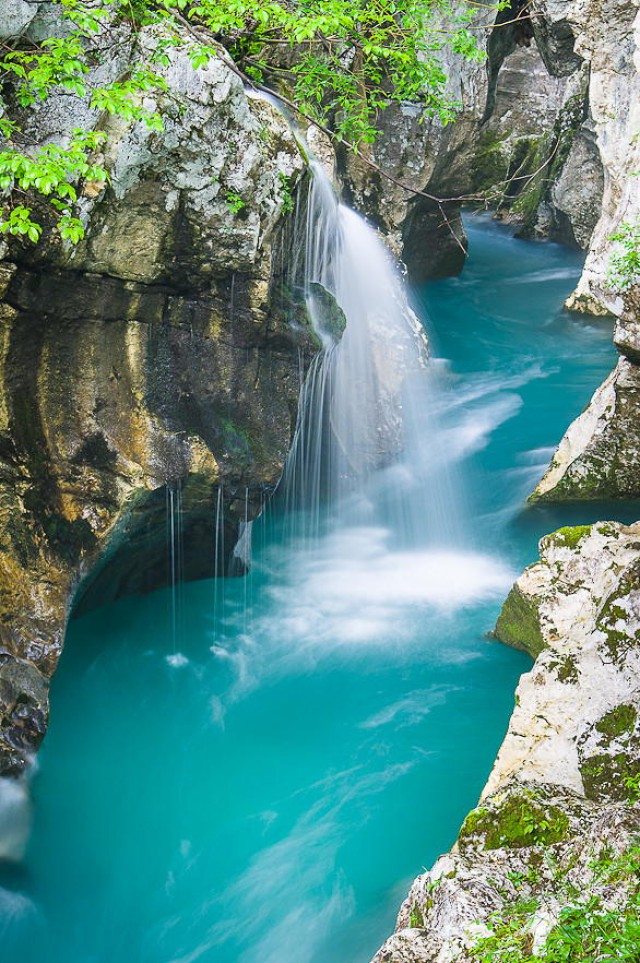 «Изумрудная красавица» – одна из самых прекрасных рек на Земле природа