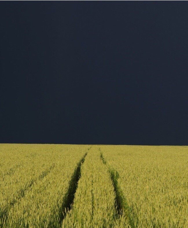 Подборка забавных и прикольных картинок с фотографиями красивые фотографии,прикольные картинки,шикарные фотографии