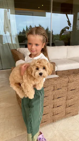 Елена Перминова показала архивные фото с дочерью от миллиардера в честь её 12-летия Перминова, дочерьюЕлена, рождения, братом, Елена, дочери, Елены, очень, Александр, после, Лебедев, который, Ариша, дочерьюАринаЕлена, растёт, детьмиЕлена, родила, Тарасом, миллиардеромМои, бойфрендом