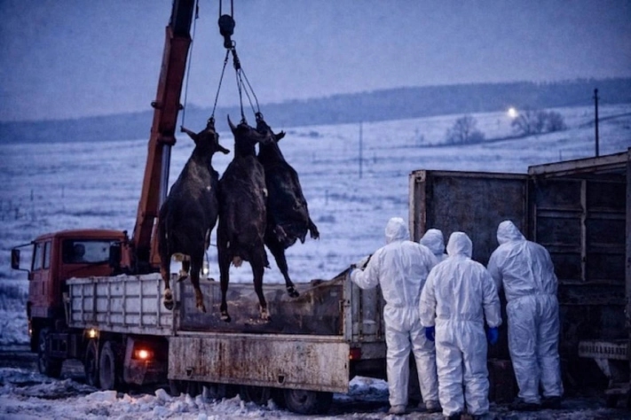  из открытых источников